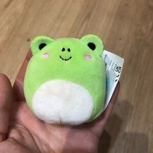 5/$15 • ✨ Squishmallow | Mini Wendy the Frog